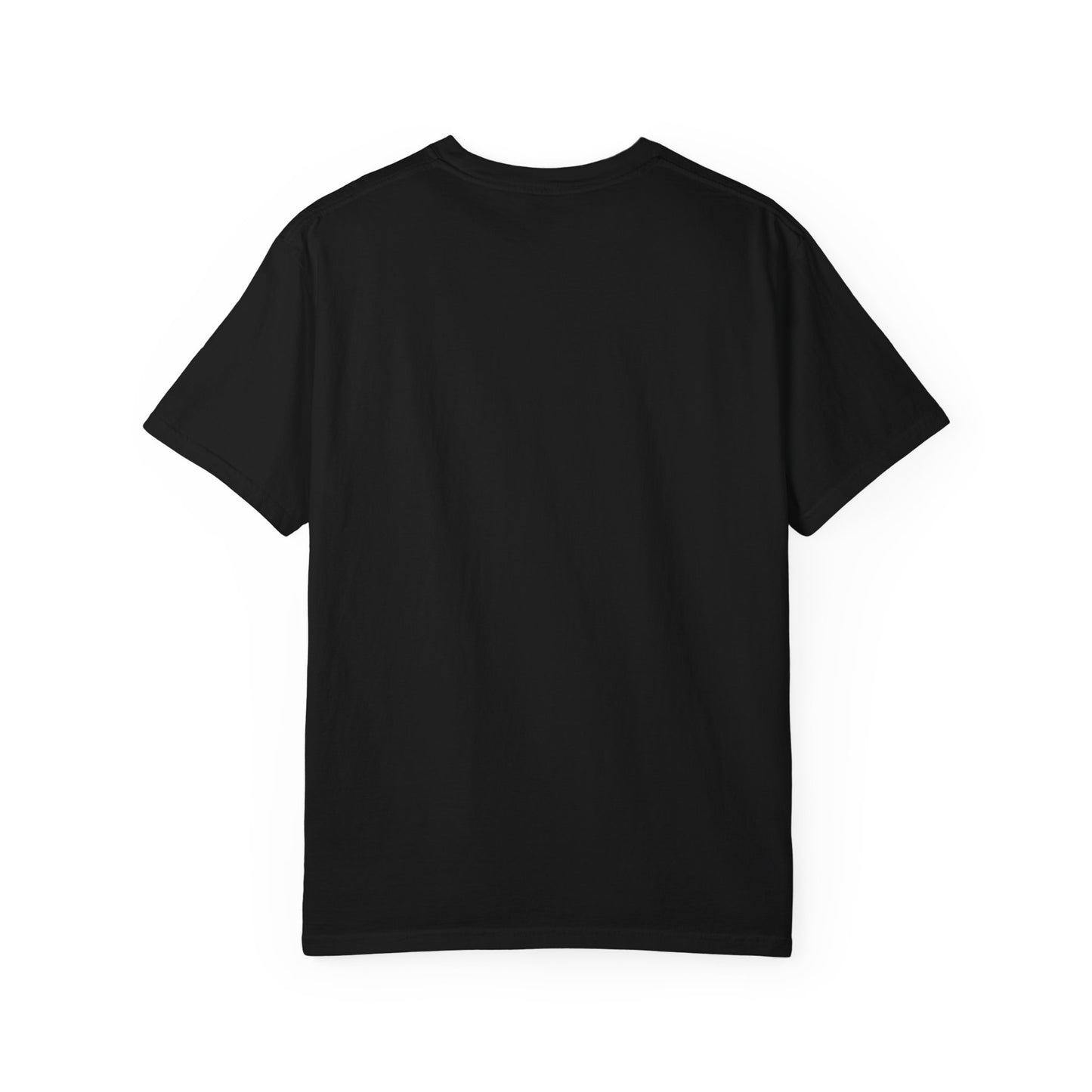 Red, White, Blue and a Little Viking T-Shirt — USA & Norway Soccer Fan Tee