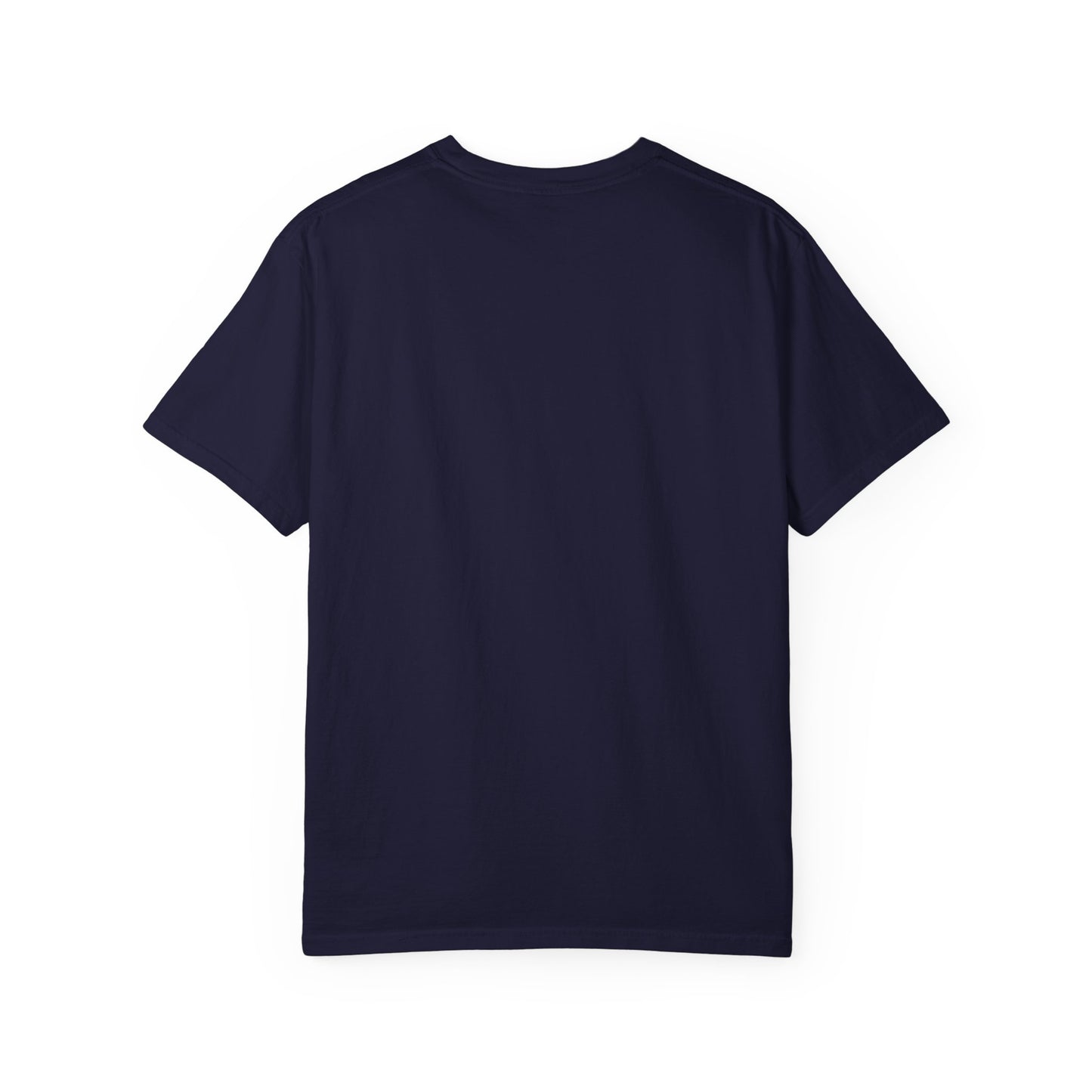 Red, White, Blue and a Little Viking T-Shirt — USA & Norway Soccer Fan Tee