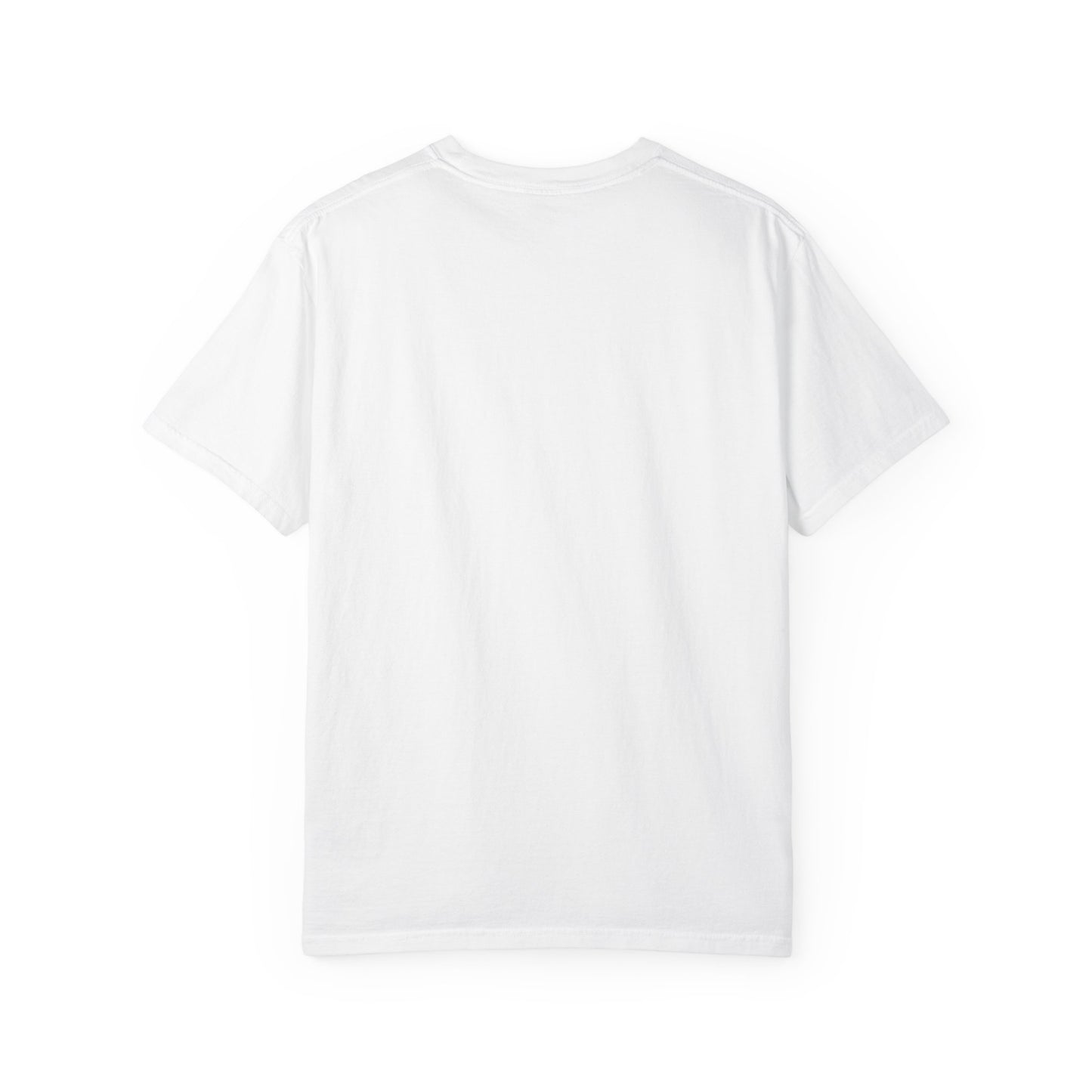 Red, White, Blue and a Little Viking T-Shirt — USA & Norway Soccer Fan Tee